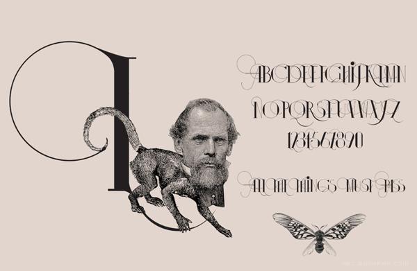 伊莎多拉字母书法插画字体设计-漂亮的细花纹版,字母结合动物组合设计---酷图编号8