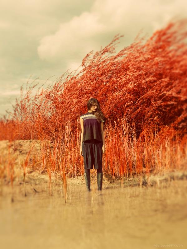 I-GLE---酷图编号10