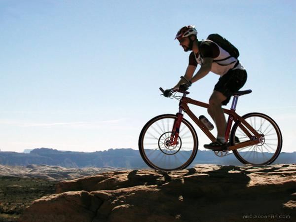 BKR概念自行车-采用胶合板制成的车骨架,木材为主要原料,可以减少振动和吸收冲击---酷图编号4