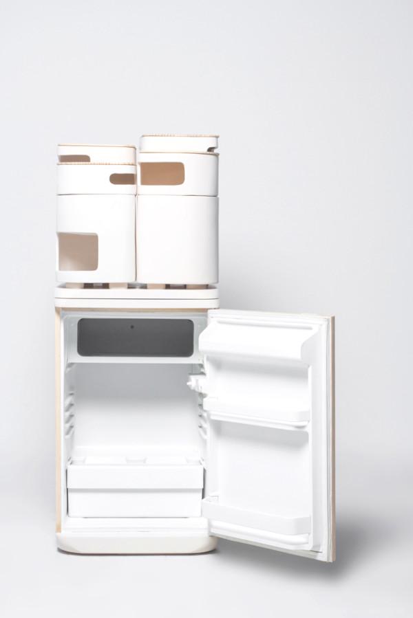 水果冰箱-旨在把水果和蔬菜进行更长时间的新鲜新概念保存---酷图编号4