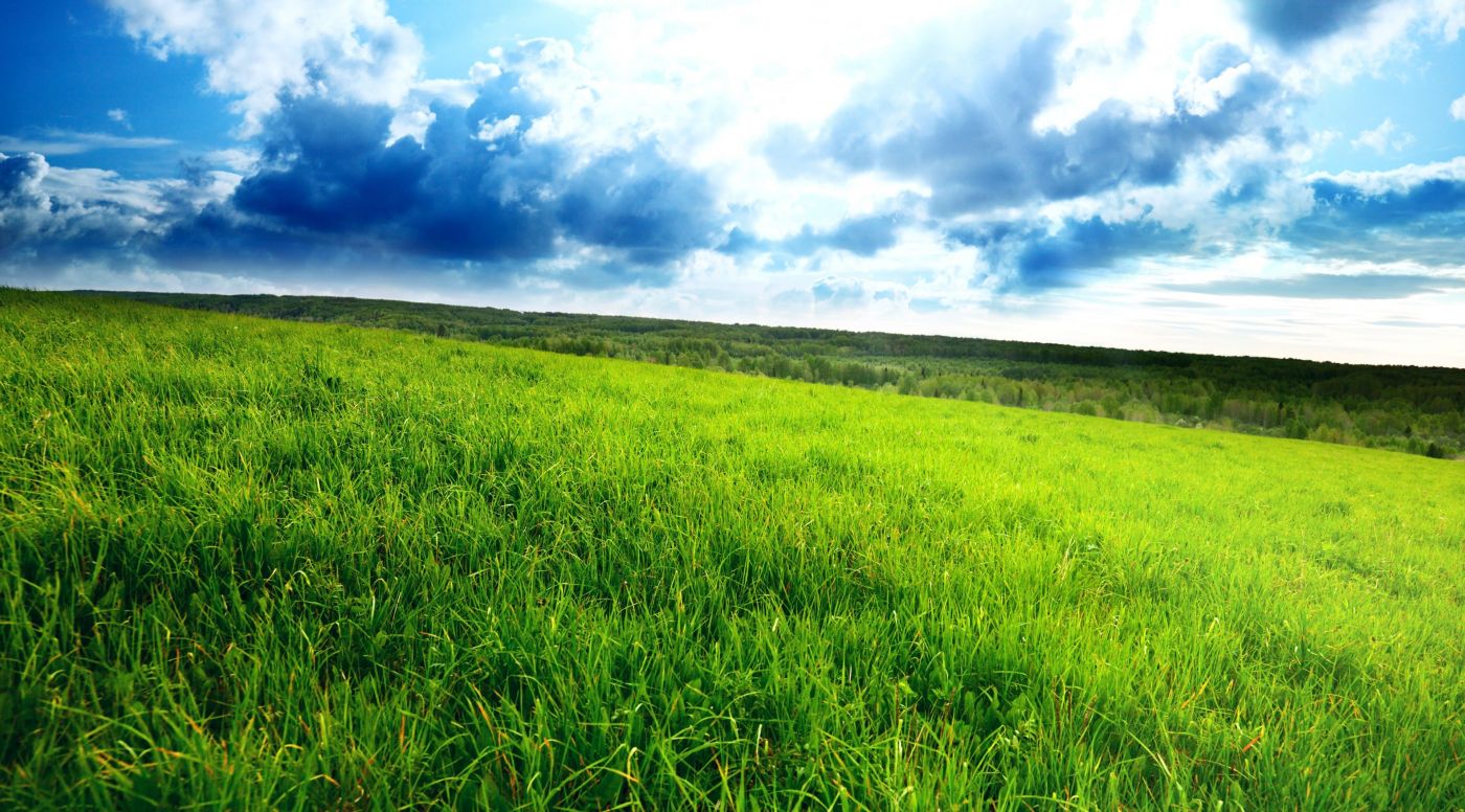 绿山-经典XP系统桌面壁纸图片