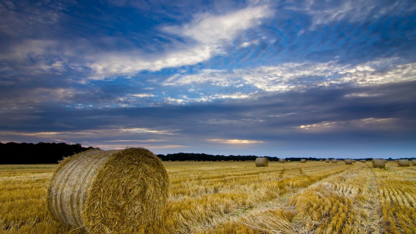 英国诺福克-田野卷起来的草垛图片