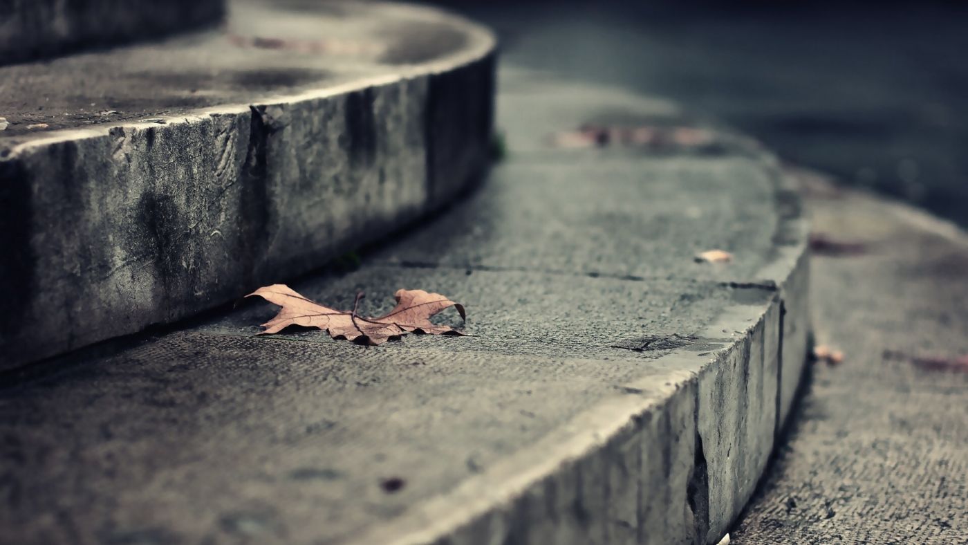 台阶上的枯枫叶图片