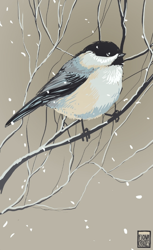 2013鸟类家禽插画集合图片