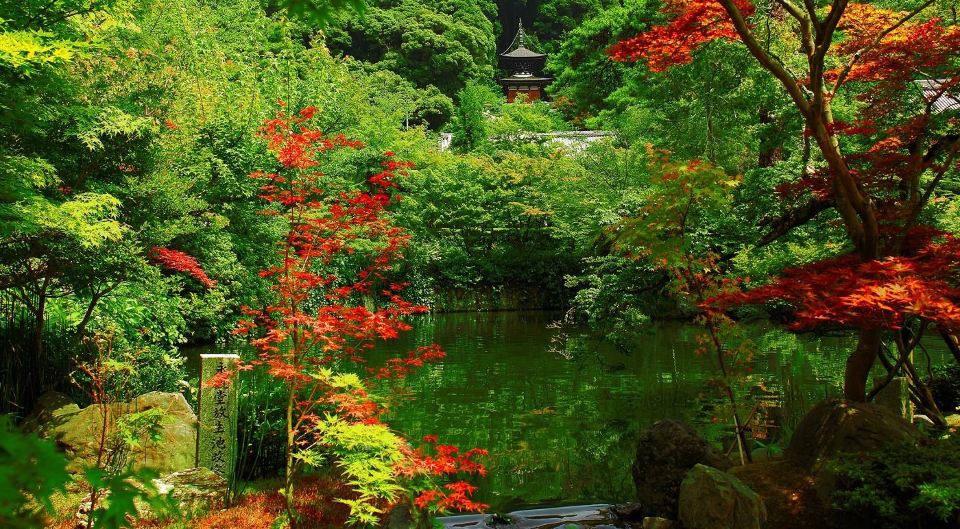 放生塘 日本京都花园风景壁纸 欧莱凯设计网 08php Com