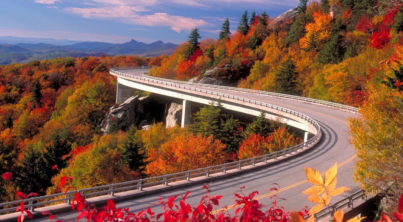 蜿蜒高架桥图片