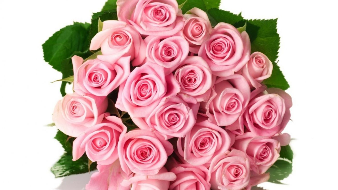 一束粉红玫瑰图片