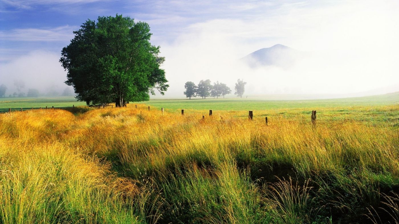 田纳西州的国家公园壁纸图片