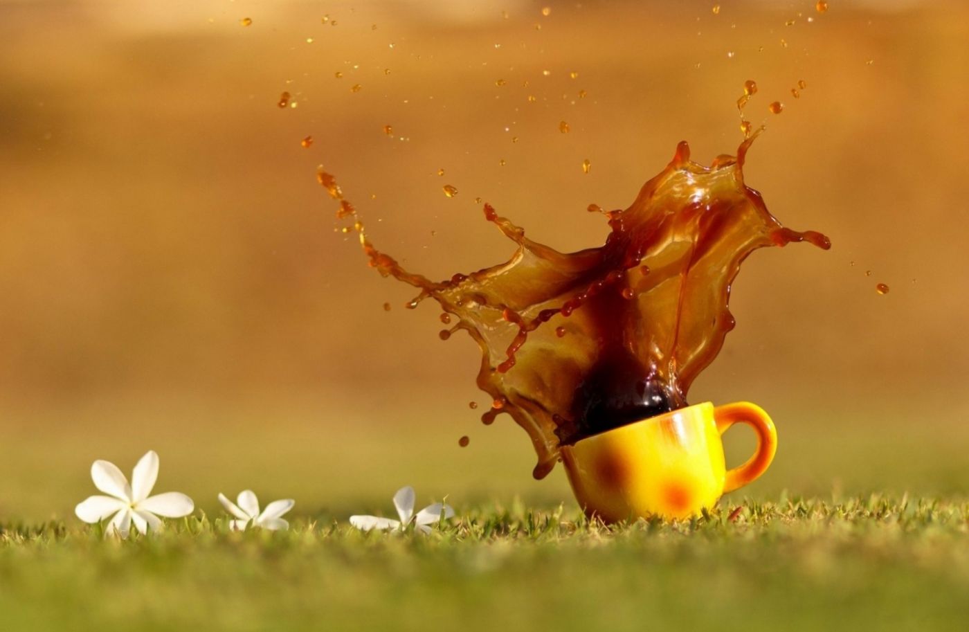 打翻的咖啡杯水花
