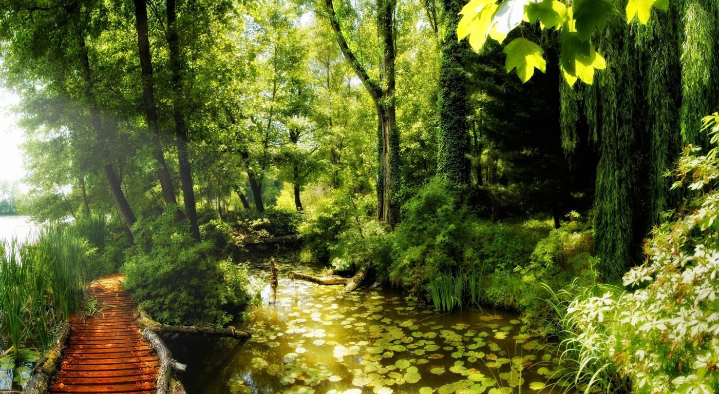 自然公园美景壁纸图片