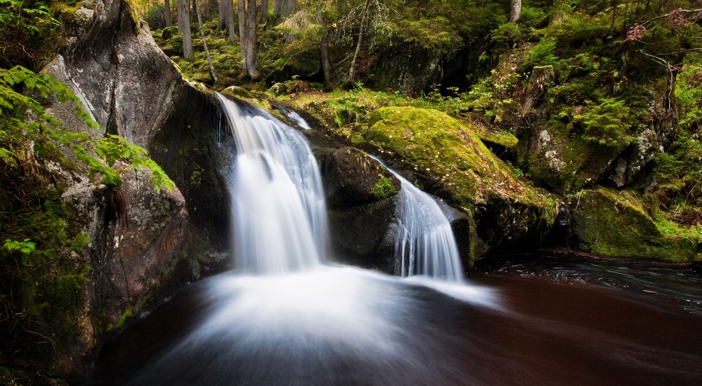 森林小瀑布壁纸图片