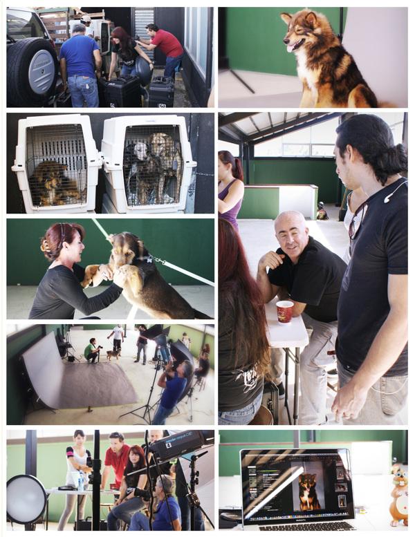 RazasÚnicas独特品种宠物狗插画与雕塑---酷图编号52