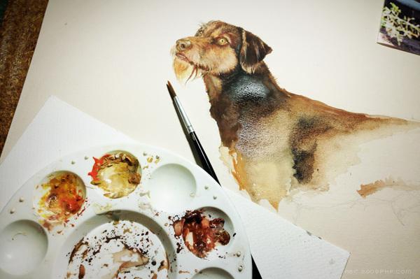 RazasÚnicas独特品种宠物狗插画与雕塑---酷图编号34