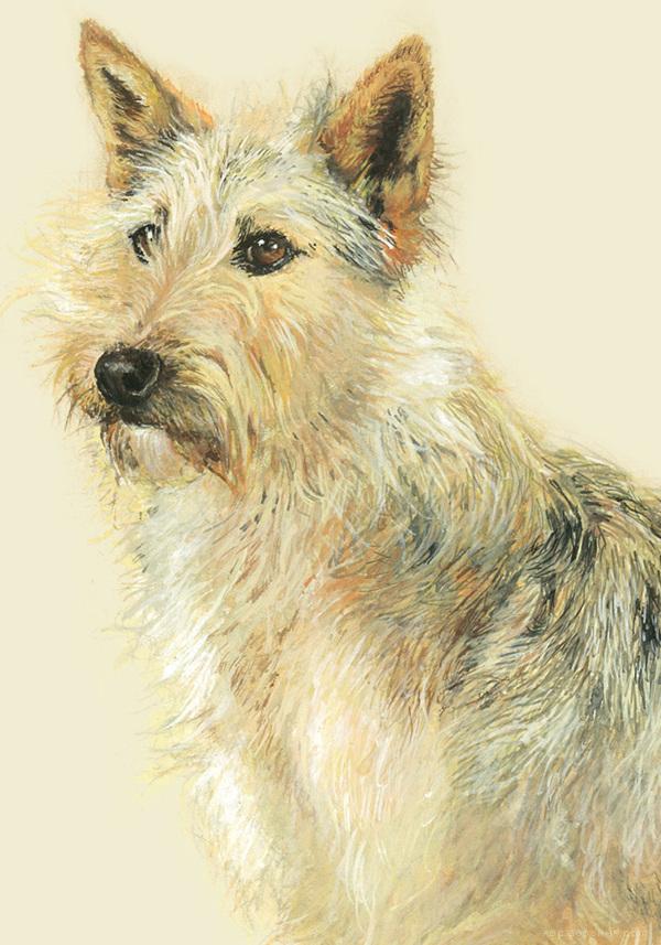 RazasÚnicas独特品种宠物狗插画与雕塑---酷图编号18