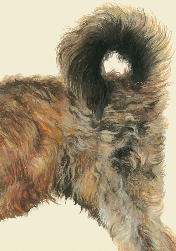 RazasÚnicas独特品种宠物狗插画与雕塑---酷图编号15