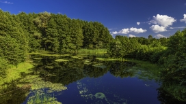 乌克兰波尔塔瓦漂亮绿色死水潭