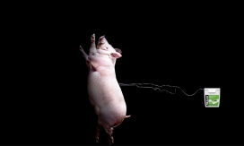 Reach肉食美食排名广告