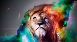 时尚炫丽雄狮插画壁纸