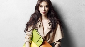 中国台湾第一美女林志玲2013最新超大桌面壁纸