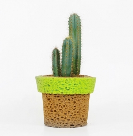 海绵仙人掌花瓶-Stefano Claudio Bison设计师作品