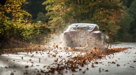 驰骋的Bentley宾利让落叶飞起