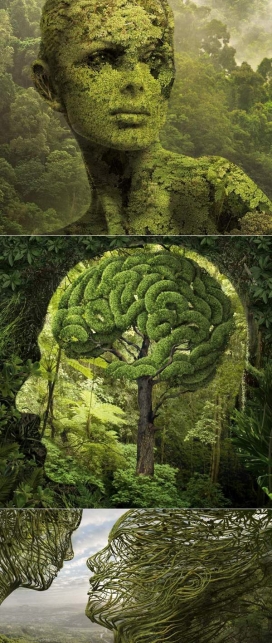 nature自然界与人脑结合的3D视觉