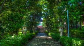 通往绿色公园的路