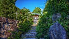 隐藏在山间的绿房