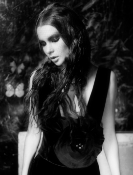 蝴蝶美人-BUTTERFLY