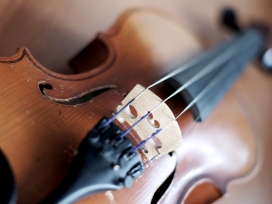 微距小提琴壁纸