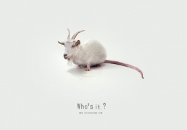 这是什么动物？