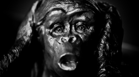 诉说的黑猩猩黑石雕