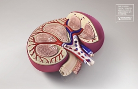 导致35岁以下死亡的人不是一种病-Driving Awareness安全驾驶公益平面