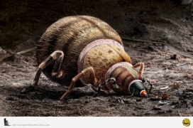 Sete Léguas平面广告