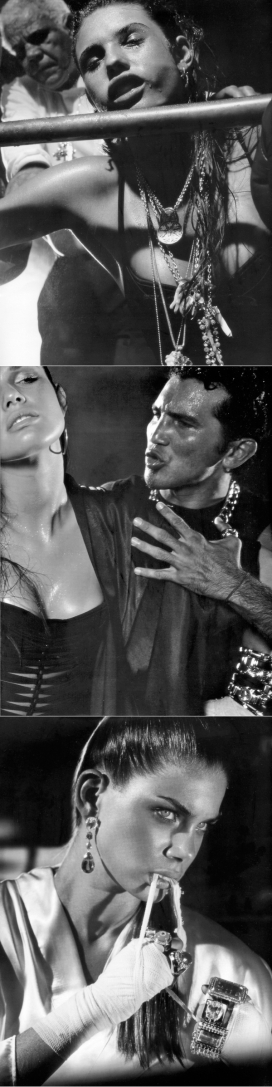 金色少女战士黑白人像作品