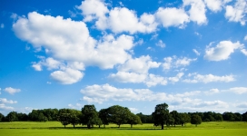 蓝天白云下的宁静草甸自然美景