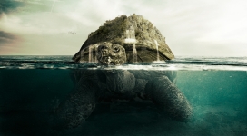 游泳的巨型海龟