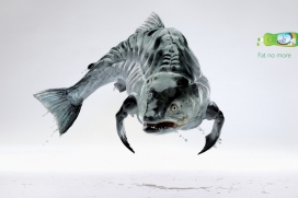 没有更多的脂肪油腻-Povna Chasha洗洁精平面广告