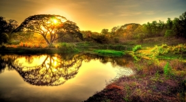 梦幻的日出自然美景