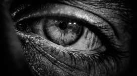 眼睛黑白微距壁纸