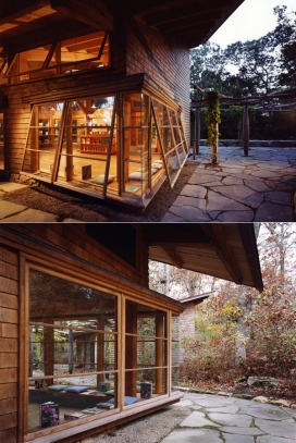 波利山植物园-心爱的岛屿自然保护区林地