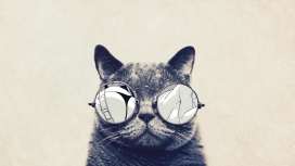 戴圆框眼镜的可爱猫