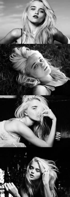 苏莱曼-美国歌手费雷拉圣罗兰人像