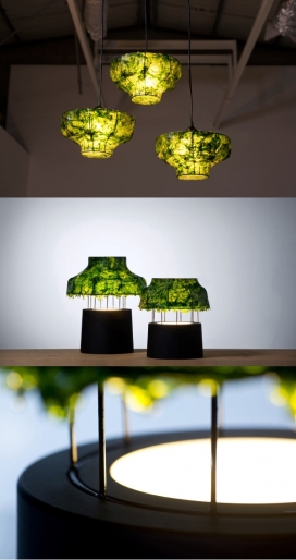 海藻灯-海藻制成的灯具