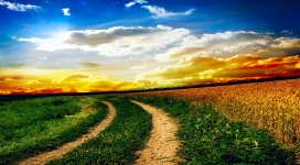 绿色田间双道路