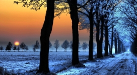 冬季树林路|夜景与橙色的天空