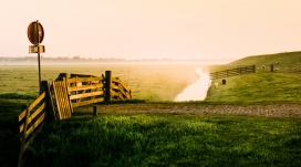 在雾中的绿色泰尔斯海灵岛