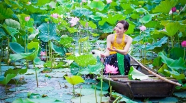 行驶在荷花池塘的东方美女