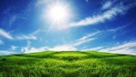 夏季蓝天下的绿草