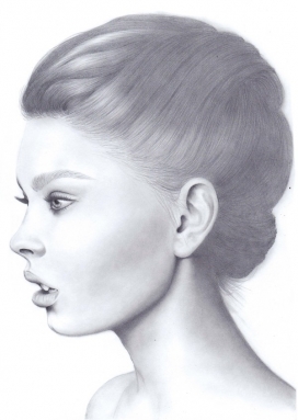 Fashion Portraits时尚肖像插画